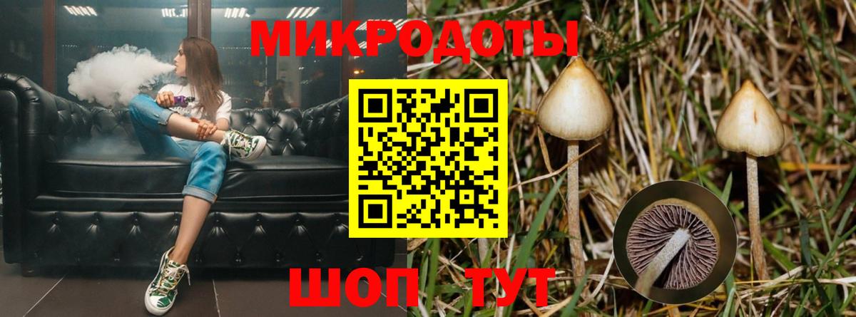 Псилоцибиновые грибы GOLDEN TEACHER  Псилоцибиновые грибы GOLDEN TEACHER  Краснокаменск  Вход с VPN 